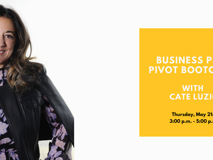 Brightly Digital: Business Plan Pivot Bootcamp with Cate Luzio