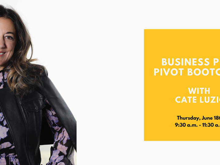 Business Plan Pivot Bootcamp with Cate Luzio